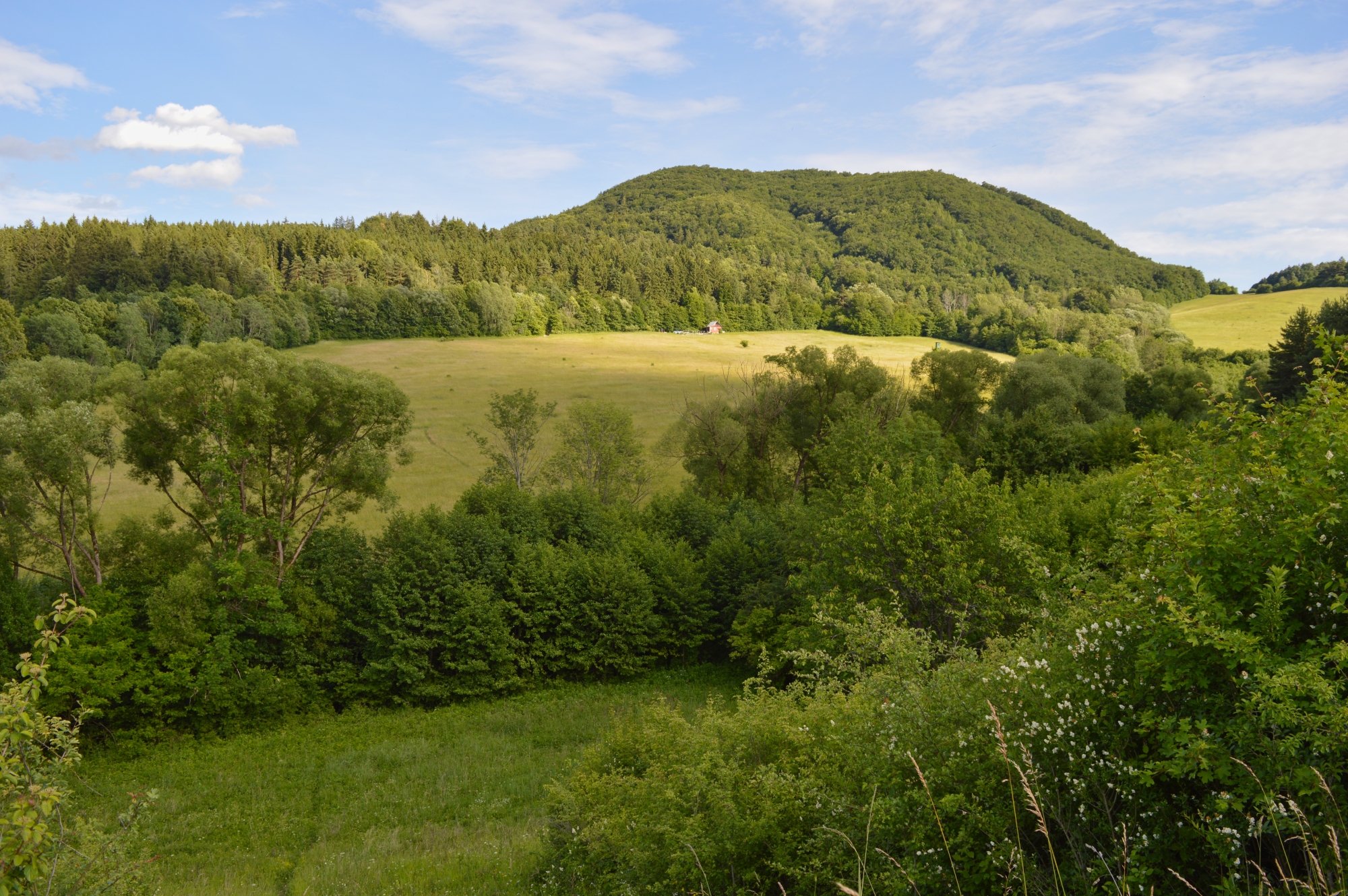 Prairie et forêt